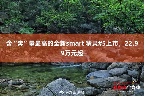 含“奔”量最高的全新smart 精灵#5上市，22.99万元起